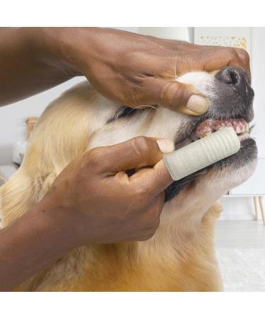 REMEK Teeth for Dogs | Brush Kit Teeth for Dogs 10 Pieces | Teeth for Dogs and Cats Professional Teeth for Dogs and Teeth - Buy Online on GoSupps.com