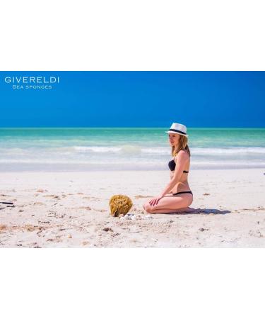 Givereldi Power Exfoliator Natural Sea Sponge - Strong Durable Unbleached Pouf and Scrub with Rope - 100% Organic & Hypoallergenic - Adult Bath Shower Exfoliating Art Pets Gift (Small) 11 cm - Buy Online on GoSupps.com