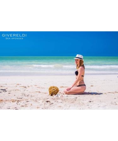 Unbleached Honeycomb Natural Sea Sponge - 100% Natural, Strong, Durable, Hypoallergenic - Bath, Shower, Cleansing, Exfoliating - for Children and Adults - Art, Pets, Gift - 5 to 6 - Buy Online on GoSupps.com