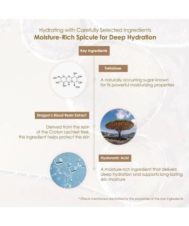 LAVIUS N4 Spicule Pore Care Cream 50mL Daily Exfoliating & Hydrating Facial Cream with Dragon s Blood Extract Hyaluronic Acid & Trehalose Lightweight Texture - Buy Online on GoSupps.com