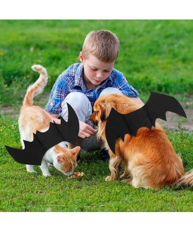 Adorable Cat Bat Costume & Bat Wings for Dogs - Perfect Pet Halloween Outfit - Buy Online on GoSupps.com