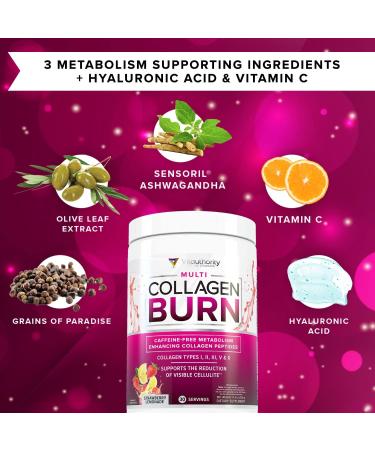 Multi Collagen Burn with Hyaluronic Acid, Vitamin C, SOD B Dimpless | Types I, II, III, V and X Collagen | Caffeine-Free (Strawberry Lemonade) - Buy Online on GoSupps.com