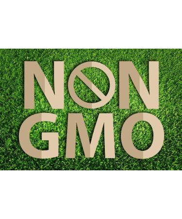 Best Earth Naturals Magnesium Bisglycinate 200 mg Vegan Formula for Joint Digestion and Rest Support 30 Count - Buy Online on GoSupps.com