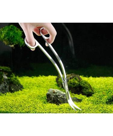 Shop Stainless Steel 25cm Curved Aquarium Plant Scissors - Wave Scissors for Aquascaping & Fish Tank Plants - Buy Online on GoSupps.com