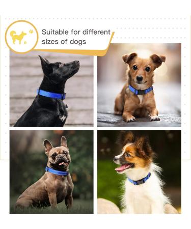 Heele Reflective Dog Collar - Soft Neoprene Padded Nylon for Small Medium & Large Dogs - Royal Blue (26-38cm) - Durable & Adjustable - Buy Online on GoSupps.com