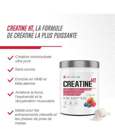 CREATINE HT | Pure Creatine Monohydrate Powder | Enriched with Beta Alanine and HMB | Muscle Performance Booster | No Additives | Easy Blend Red Fruit Flavor | 300g | Eiyolab - Buy Online on GoSupps.com