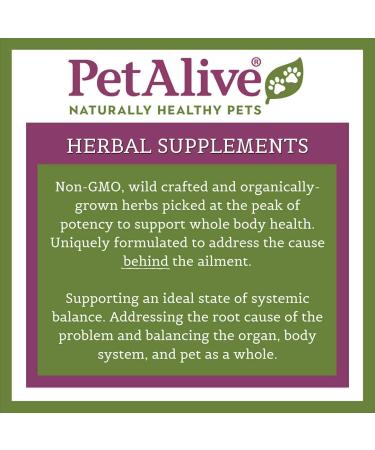 PetAlive Gumz-n-Teeth Herbal Supplement for Healthy Teeth & Gums in Cats & Dogs - 60 Veggie Caps - Buy Online on GoSupps.com