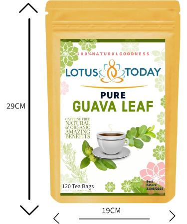 lotustoday Premium Guava Leaf 120 Tea Bags 100% Pure Guava Leaves Natural wellness - Buy Online on GoSupps.com