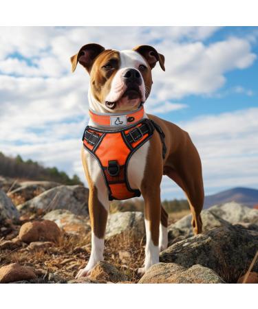 Joytale Padded Neoprene Dog Collar for Medium Dogs - Reflective Nylon Orange - 1 Pack - Buy Online on GoSupps.com