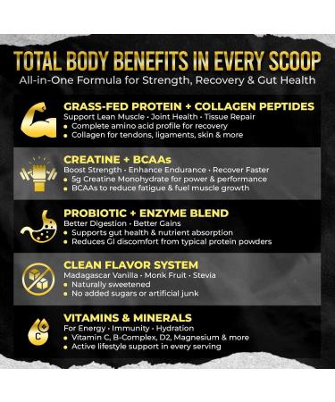 PUMPFIT305 ALL-in-ONE Grass Fed Beef Protein Isolate-41g Protein + 5g Collagen + 5g Creatine Monohydrate + 4g BCAAs Probiotics NO Bloat Muscle Recovery Post Workout Recovery - Vanilla 15 Servings - Buy Online on GoSupps.com