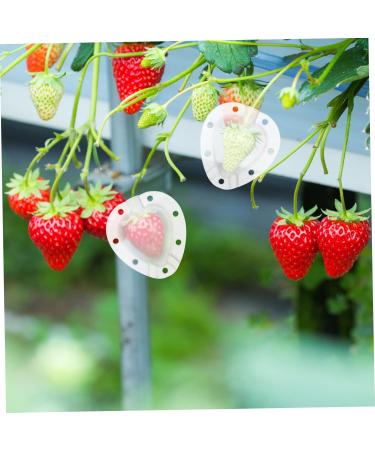 VANZACK 15 Pcs Fruit Shaping Mold White Watermelon Strawberry 4.5x4cmx3pcs Whitex3pcs - Buy Online on GoSupps.com