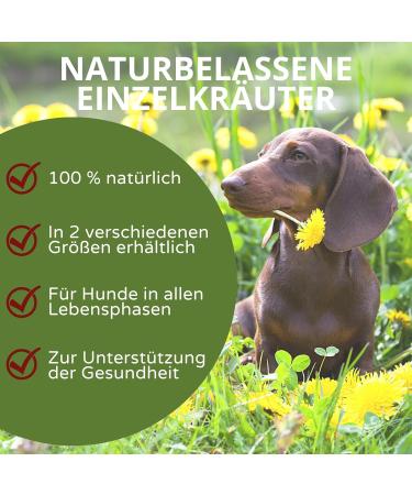 Stiefel Vegetable Charcoal for Dogs 100% Pure Vegetable Charcoal for Healthy Digestion Positive Effect on Metabolism 50 - Buy Online on GoSupps.com