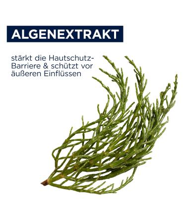 HELIOTROP Moisturizing Anti-Wrinkle Eye Cream | Hyaluronic Acid & Algae Extract | 20ml | Facial Care for Normal to Dry Skin - Buy Online on GoSupps.com