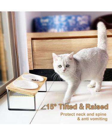 Raised Ceramic Cat Bowls with Tilted Bamboo Stand - Anti Vomiting, Whisker-Friendly, 5.5 Wide Dish for Food and Water - Indoor Iron Stand Bowl - Buy Online on GoSupps.com