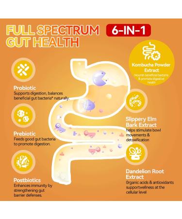 Crasye Probiotic Kombucha Gummies Sugar Free Prebiotic Postbiotic Probiotics Gummies with Slippery Elm for Women and Men Bloating Gut Health Immune and Digestive Support - 60 Gummies - 30 Servings - Buy Online on GoSupps.com