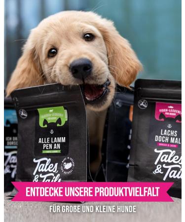 Tales & Tails Salmon Oil for Dogs - Omega 3 Natural Additives 8x240ml Pack | Healthy Dog Food Supplement - Buy Online on GoSupps.com
