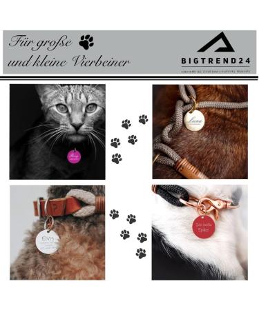 Custom Aluminum Pet Tags | Engraved Dog & Cat Name Tags | International Shipping - Buy Online on GoSupps.com