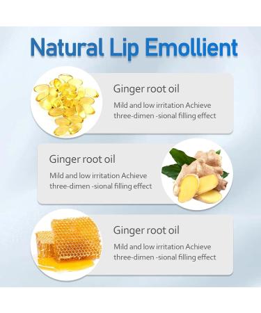 Rosarden Ginger Plump Lipstick - Daily Lip Gloss for Moisturizing and Reducing Lines - Buy Online on GoSupps.com