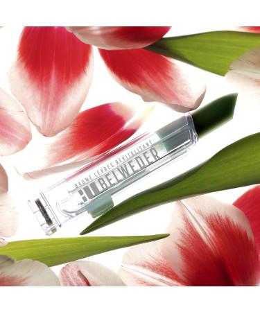 Belweder Revitalizing Lip Balm with Phytosterols - Protective Moisturizing Calming - Green Kam l on Balm (2 x 3.5g) - International Shipping Available - Buy Online on GoSupps.com