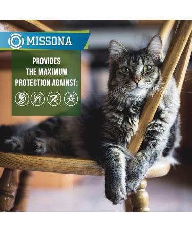 JBL Detoxol 2515700 - Instant Detoxifier for Healthy Aquarium Water | 250 ml | International Shipping Available - Buy Online on GoSupps.com