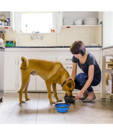 Kytely Large Collapsible Dog Bowls 2 Pack - Portable 34oz Foldable Travel Bowl for Dogs - Includes Clasp - Ideal for Walking, Traveling, and Park Trips - Blue & Black - Buy Online on GoSupps.com