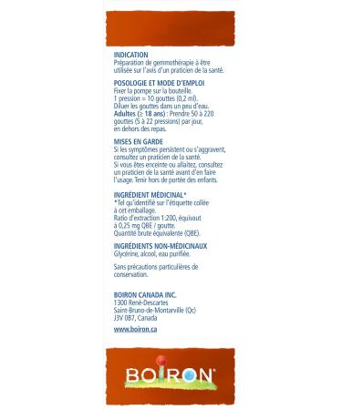 Gemmotherapy rubus idaeus shoots (raspberry) 1dh 125ml homeopathic medicine 125 milliliter by Boiron Canada - Buy Online on GoSupps.com