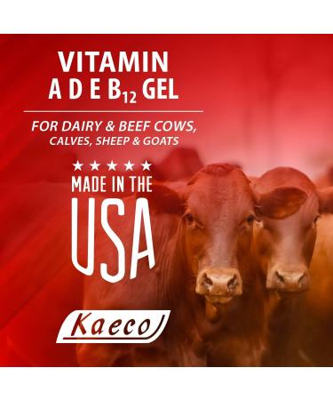 Kaeco Vitamin Ade B12 Oral Gel - 80 Ml - Buy Online on GoSupps.com
