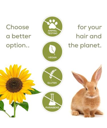 Naturtint Color Care Shampoo for Color-Treated Dry or Normal Hair - Paraben and Sulfate-Free Formula for Vibrant Results - Buy Online on GoSupps.com