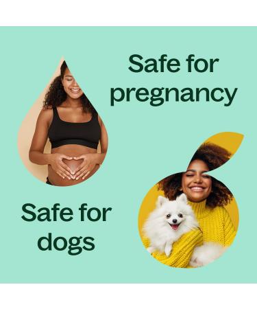 Plant Therapy Eucalyptus Radiata Essential Oil 10 mL (1/3 oz) 100% Pure Undiluted for Aromatherapy Respiratory Support & Focus 0.33 Fl Oz (Pack of 1) - Buy Online on GoSupps.com