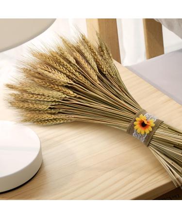 YoleShy Dried Wheat Stalks - 200 Stems Natural Wheat Decor (15.7 Inches) - Ideal for Home, Kitchen, Christmas, Wedding - 200 Pcs - Buy Online on GoSupps.com