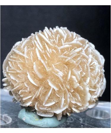 Crystal Cluster 120g Natural Desert Rose Selenite raw Crystal Stone Specimen Rough Sample Cluster fengshui Decor Natural Luster - Buy Online on GoSupps.com