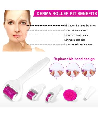 Buy Endim 6-in-1 Dermaroller Set for Acne Anti-Aging & Folds - Includes 0.5/1.0/1.5mm Derma Rollers & Hyaluronic Acid Serum - International Shipping Available - Buy Online on GoSupps.com