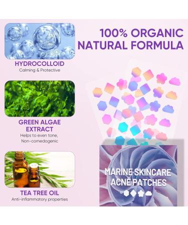 Senhorita 144Pcs Colorful Hydrocolloid Acne Patches with Green Algae Extract & Tea Tree Oil - Cover, Reduce Zits, Pimples, Blemishes - 144 Count - Buy Online on GoSupps.com