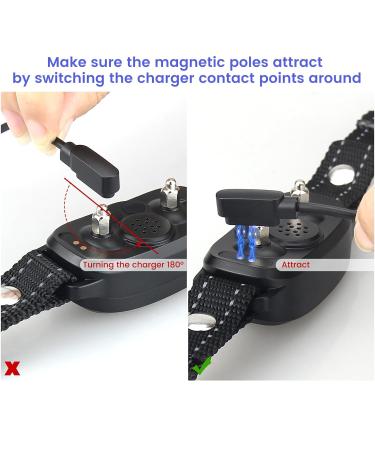 2 Pack Charger Replacement for FAFAFAFROG Dog Collar | Magnetic Charging Cable - Fast Shipping Worldwide - Buy Online on GoSupps.com