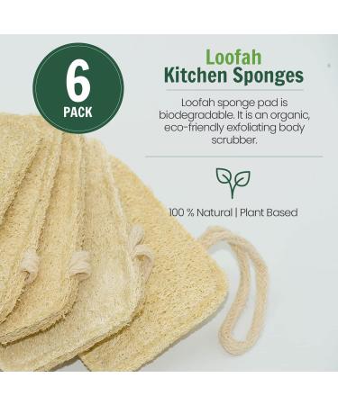 Organic Luffa Kitchen Sponge | Biodegradable Eco-Friendly & Natural Peeling - Buy Online on GoSupps.com