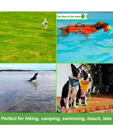 Vivifying Long Dog Lead 32FT Reflective Training Line for Camping Hiking Beach - Green - Buy Online on GoSupps.com