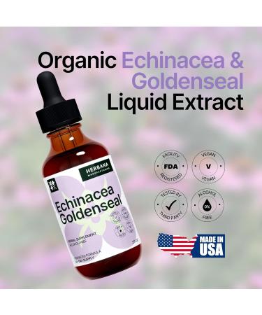 Echinacea and Goldenseal 2 fl oz Liquid Extract - Natural Herbal Supplement - Immune Support Drops - Enhance Sleep | Boost Energy - High Potency - 45-Day Supply - Buy Online on GoSupps.com