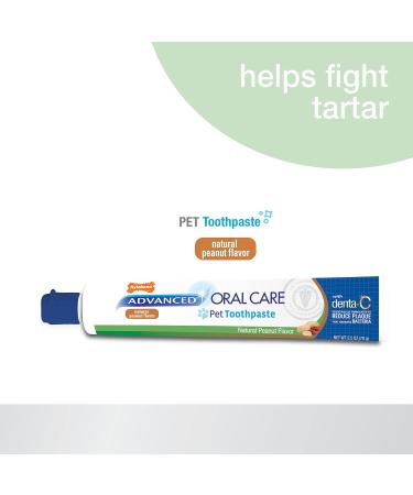 Nylabone Advanced Oral Care Natural Toothpaste Peanut Butter 2.5 oz. (1 Count) Peanut Butter 1 count (Pack of 1) - Buy Online on GoSupps.com