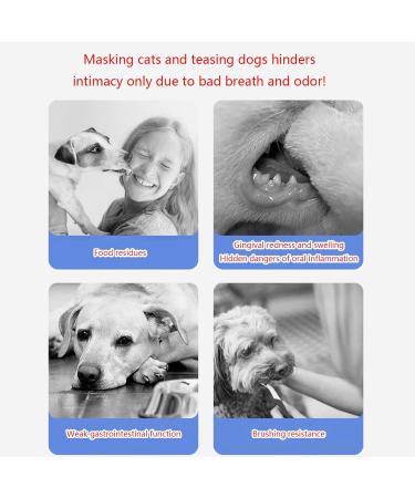 Convenient OralCare Water Additive for Dogs Pets Health Solution Liquid Mouthwash Remover for Pet Cats Dog Remover Dog Breath Freshener Care for Dogs - Buy Online on GoSupps.com