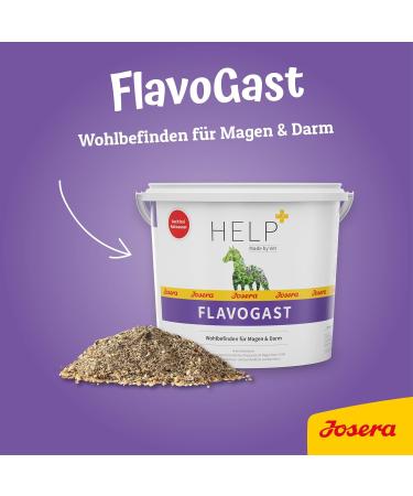 Buy Josera Flavogast Seaweed 3 kg (Pack of 2) - Premium Pet Food for Digestive Health | International Shipping Available - Buy Online on GoSupps.com
