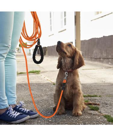 Orange 30M Nylon Reflective Dog Training Lead with Comfortable Handle - Ideal for Recall Training, Hiking, Camping, Walking - 100FT Long Line - Buy Online on GoSupps.com