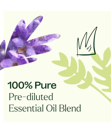 Buy Plant Therapy KidSafe Germ Destroyer Essential Oil Blend - 100% Pure Natural Aromatherapy for Kids Pre-Diluted Roll-On 10 mL - Buy Online on GoSupps.com