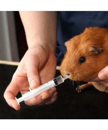 VILLCASE Bird Feeding Syringe Set Baby Birds Syringe Feeder Parrot Feeding Syringe Tube Measuring Syringe Tools for Feeding Pets Scientific Industrial Labs - Buy Online on GoSupps.com