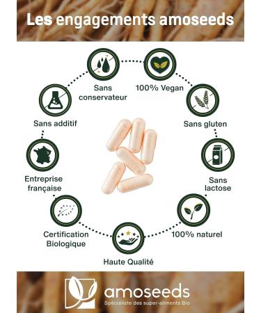 Panax Organic Red Ginseng from Korea | Extra Strong 900mg/day | Energy Strength Anti-Stress Concentration | 90 Capsules of 300mg | Top Quality - Buy Online on GoSupps.com