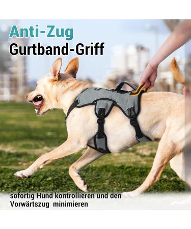 Rabbitgoo Break-Proof Dog Harness for Medium Dogs - Adjustable Breathable Padded Vest with Handle & Panic Lock - Gray (1 Pack) - Buy Online on GoSupps.com