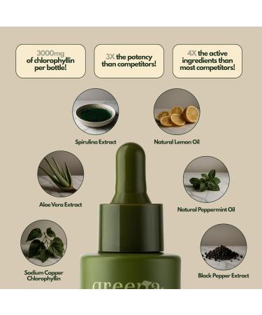 GLOTOX Chlorophyll Liquid Drops 3000mg Sodium Copper Chlorophyllin + Bioavailable Botanicals Clinically Formulated Detox Cleanse Debloat Energy & Gut Support Vegan Non-GMO Lemon Mint Flavor - Buy Online on GoSupps.com