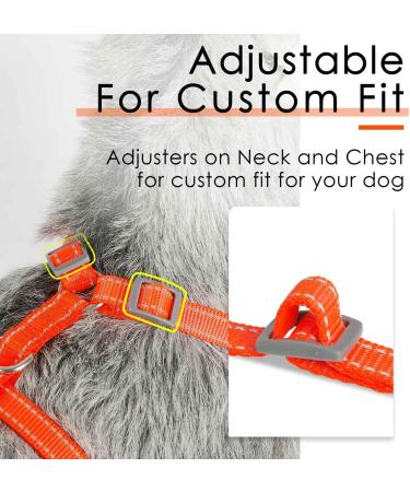 ThinkPet Reflective Air Mesh Vest Leash Set for Small Medium Dogs - Neon Orange - Buy Online on GoSupps.com