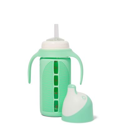 Tabor Place Glass Sippy Cup for Toddlers - The Luca | Spill-proof | Silicone Straw | Mint Green | 8 oz | Liquids Never Touch Plastic | Removable Handles