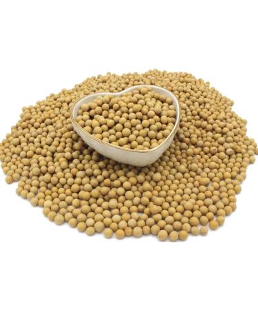 Organic Soya Beans No Additives No Preservatives Raw High Fibre High Protein Vegan GMO-Free - Perfect for Plant-Based Recipes - Thames Organic 500g 500 g (Pack of 1) - Buy Online on GoSupps.com