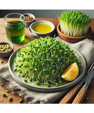Wheat | 3kgs | Sproutable | for roasting| for cooking | milling for flour | high fiber | Shipping with Sendle - Buy Online on GoSupps.com